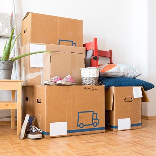 Junk Removal